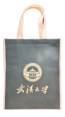 Tasse di tessuto non tessuto durevoli Eco-friendly Reutilizzabile Tasse per la spesa OEM Design Pratica soluzione leggera